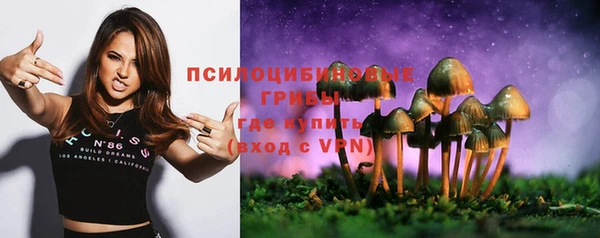 ешки Мегион