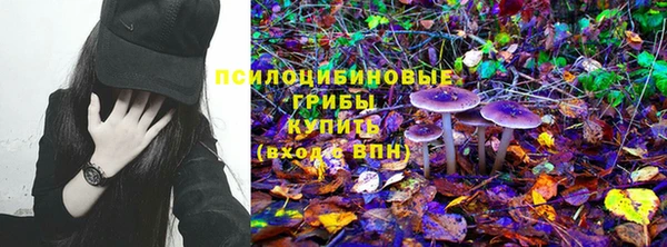 ешки Мегион