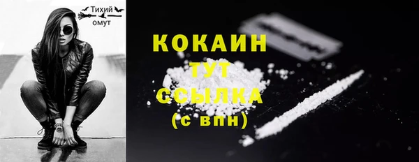 кокс Дмитриев
