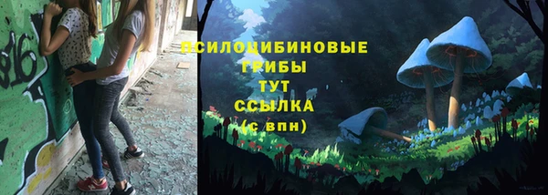 MDMA Медвежьегорск
