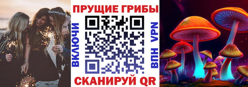 KRAKEN зеркало  купить наркотики сайты  Железногорск-Илимский  Псилоцибиновые грибы Psilocybe 